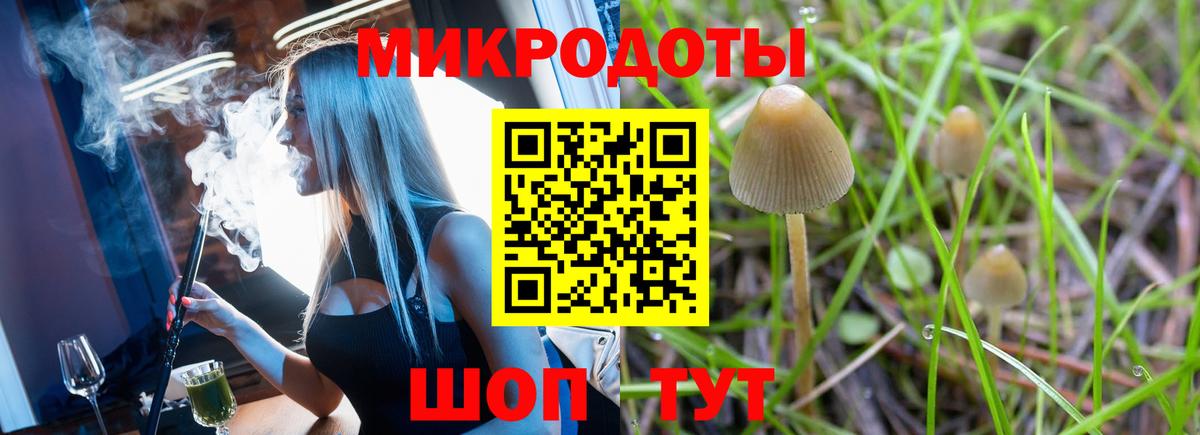 Сафоново  Галлюциногенные грибы Psilocybine cubensis  Вход с VPN 
